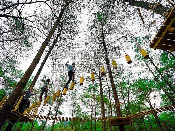 叢林穿越設備的搭建對環(huán)境有影響嗎？